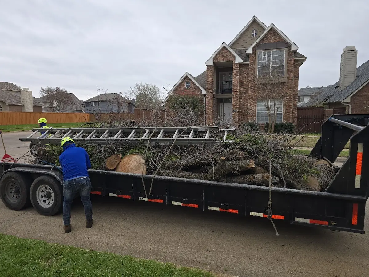 Expert Lot Clearing with proper safety equipment in Foxboro